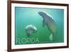 Florida - Manatees Underwater-Lantern Press-Framed Art Print