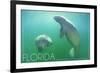 Florida - Manatees Underwater-Lantern Press-Framed Art Print