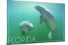 Florida - Manatees Underwater-Lantern Press-Mounted Art Print