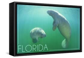 Florida - Manatees Underwater-Lantern Press-Framed Stretched Canvas