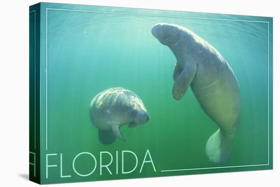 Florida - Manatees Underwater-Lantern Press-Stretched Canvas