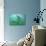 Florida - Manatees Underwater-Lantern Press-Art Print displayed on a wall