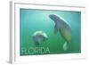 Florida - Manatees Underwater-Lantern Press-Framed Art Print