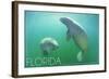 Florida - Manatees Underwater-Lantern Press-Framed Art Print