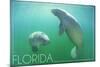 Florida - Manatees Underwater-Lantern Press-Mounted Art Print