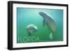 Florida - Manatees Underwater-Lantern Press-Framed Art Print