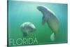 Florida - Manatees Underwater-Lantern Press-Stretched Canvas