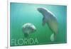 Florida - Manatees Underwater-Lantern Press-Framed Art Print