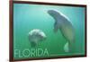 Florida - Manatees Underwater-Lantern Press-Framed Art Print