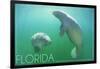 Florida - Manatees Underwater-Lantern Press-Framed Art Print