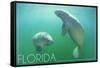 Florida - Manatees Underwater-Lantern Press-Framed Stretched Canvas