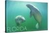 Florida - Manatees Underwater-Lantern Press-Stretched Canvas