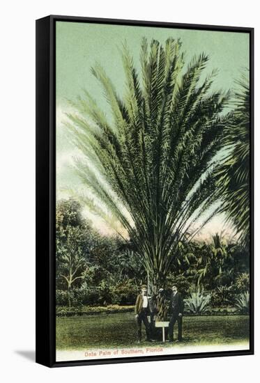 Florida - Men Standing by Huge Date Palm-Lantern Press-Framed Stretched Canvas