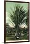 Florida - Men Standing by Huge Date Palm-Lantern Press-Framed Art Print