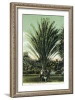 Florida - Men Standing by Huge Date Palm-Lantern Press-Framed Art Print