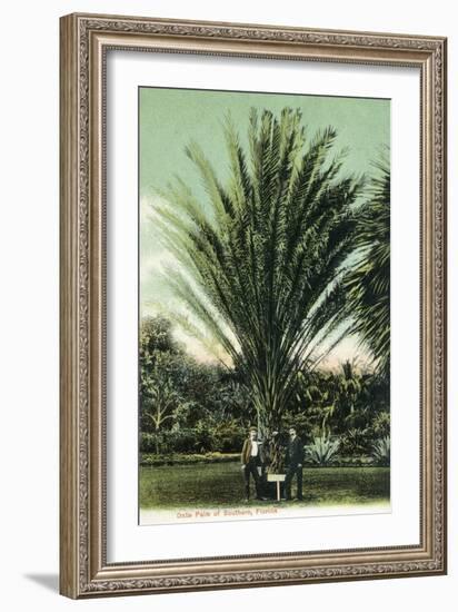 Florida - Men Standing by Huge Date Palm-Lantern Press-Framed Art Print