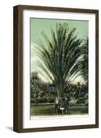 Florida - Men Standing by Huge Date Palm-Lantern Press-Framed Art Print