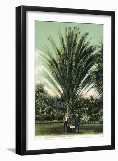 Florida - Men Standing by Huge Date Palm-Lantern Press-Framed Art Print