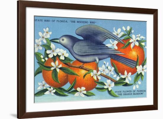 Florida - Mockingbird and Orange Blossoms, State Bird and Flower-Lantern Press-Framed Art Print