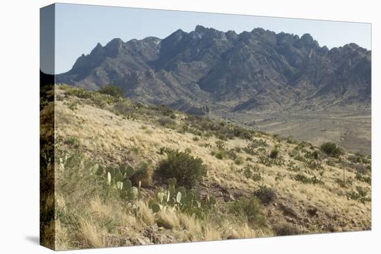 Florida Mountains of the Mexico Borderland Seen From Rockhound State Park, New Mexico-null-Stretched Canvas