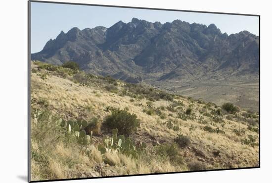 Florida Mountains of the Mexico Borderland Seen From Rockhound State Park, New Mexico-null-Mounted Photographic Print