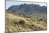 Florida Mountains of the Mexico Borderland Seen From Rockhound State Park, New Mexico-null-Mounted Photographic Print