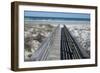 Florida, New Smyrna Beach, Smyrna Dunes Park, Boardwalk-Lisa S. Engelbrecht-Framed Photographic Print