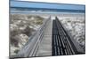 Florida, New Smyrna Beach, Smyrna Dunes Park, Boardwalk-Lisa S. Engelbrecht-Mounted Photographic Print