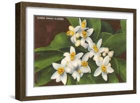 Florida Orange Blossoms-null-Framed Art Print