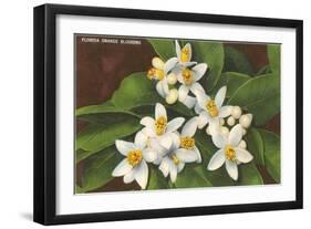 Florida Orange Blossoms-null-Framed Art Print