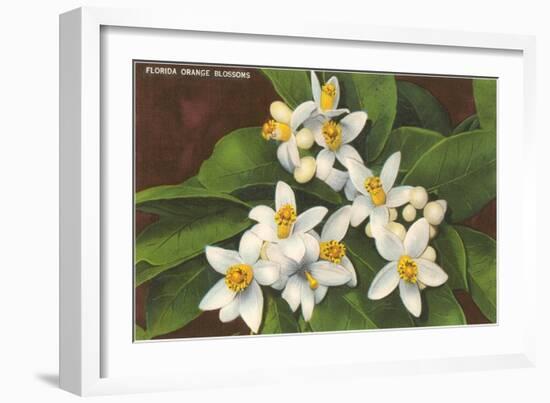 Florida Orange Blossoms-null-Framed Art Print