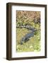 Florida, Orange City, St. John River, Alligator-Jim Engelbrecht-Framed Photographic Print