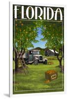 Florida - Orange Grove with Truck-Lantern Press-Framed Art Print