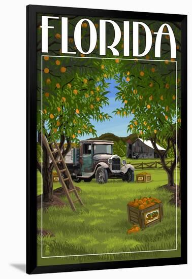 Florida - Orange Grove with Truck-Lantern Press-Framed Art Print