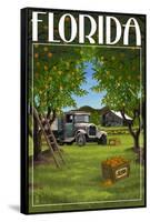 Florida - Orange Grove with Truck-Lantern Press-Framed Stretched Canvas