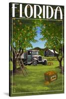 Florida - Orange Grove with Truck-Lantern Press-Stretched Canvas