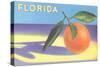 Florida Orange-null-Stretched Canvas