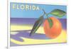 Florida Orange-null-Framed Art Print