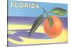 Florida Orange-null-Stretched Canvas