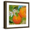 Florida Oranges-null-Framed Art Print