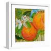 Florida Oranges-null-Framed Art Print