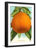 Florida Oranges-null-Framed Art Print