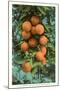 Florida Oranges-null-Mounted Art Print