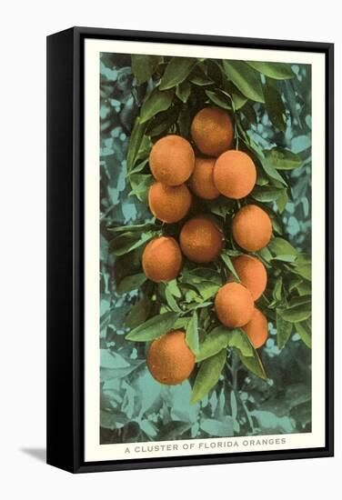 Florida Oranges-null-Framed Stretched Canvas