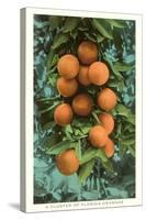 Florida Oranges-null-Stretched Canvas