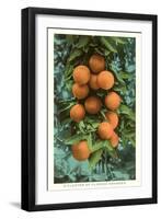 Florida Oranges-null-Framed Art Print