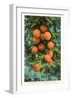 Florida Oranges-null-Framed Art Print