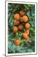 Florida Oranges-null-Mounted Art Print