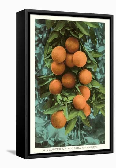 Florida Oranges-null-Framed Stretched Canvas