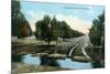 Florida - Orchard Irrigation Scene-Lantern Press-Mounted Premium Giclee Print